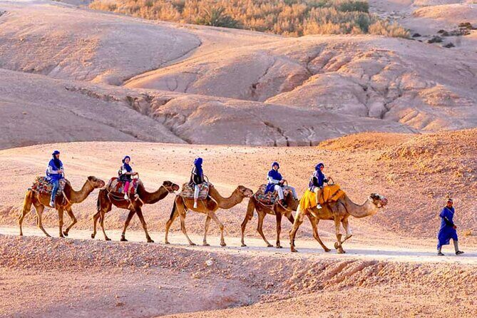 Agafay Desert Tour and Sunset Camel Ride with Dinner Show - What Reviewers Say