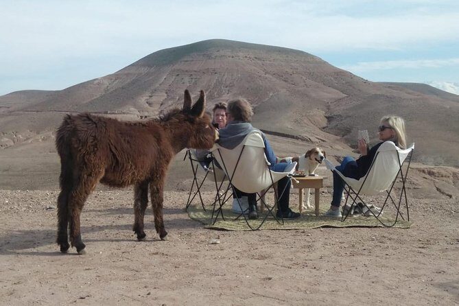 Agafay Desert: Your Exclusive Luxury Retreat Under the Stars - Key Points