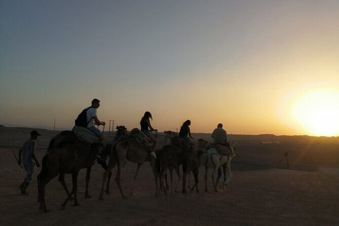 Agafay dinner show camel ride - The Value: Why It’s Worth Considering