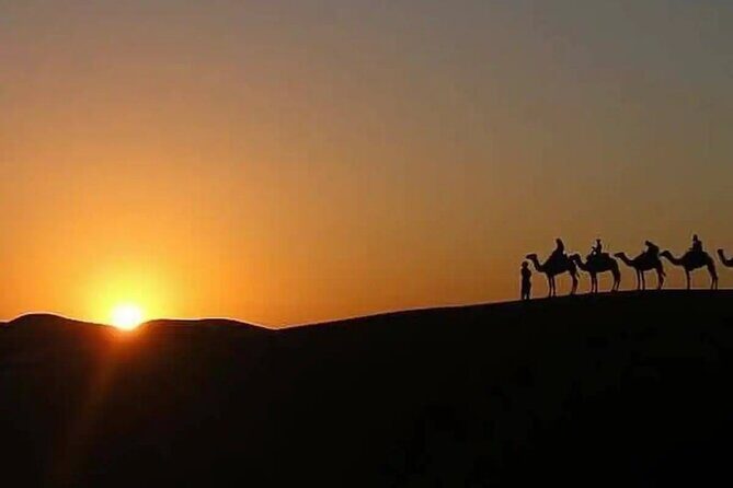 Agafay Escape: Camel Ride, Fire Show & Dinner Under Stars - Is This Tour Right for You?