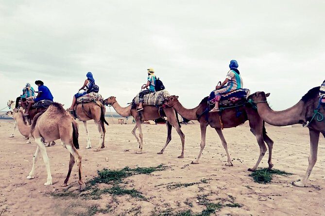 Agafay Half Day Rocky Desert Experience  Quad Bike & Camel Ride - Frequently Asked Questions