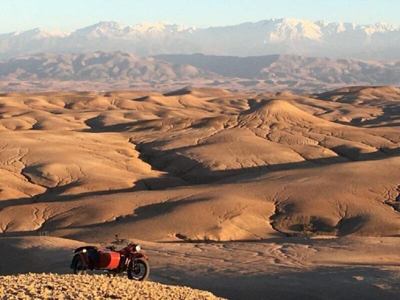 Agafay: Half-Day Rocky Desert Quad & Camel Ride with Lunch - Lunch in a Berber Tent with Panoramic Views