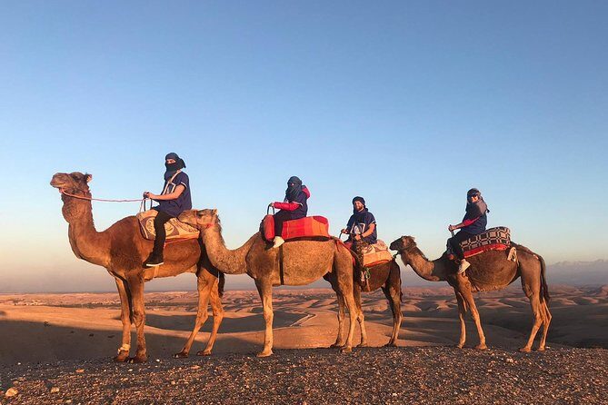 AGAFAY Historical Desert Dinner Sunset Camel Ride Hotel Transfer - Exploring the Experience in Depth