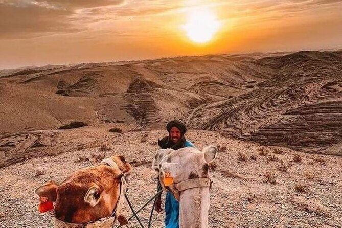 Agafay Marrakech dinner show with quad bike and camel ride - An Overview of the Experience