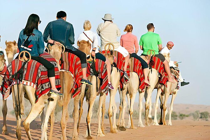 Agafay Quad Bike, camel ride, sunset, dinner & show - The Sum Up