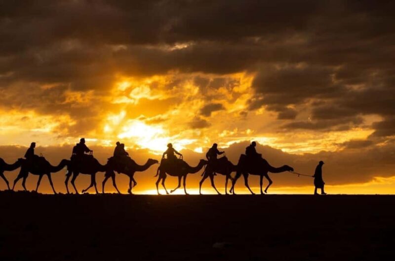 Agafay: Quad, Camel Ride & Dinner Show from Marrakech - A Closer Look at the Tour Itinerary