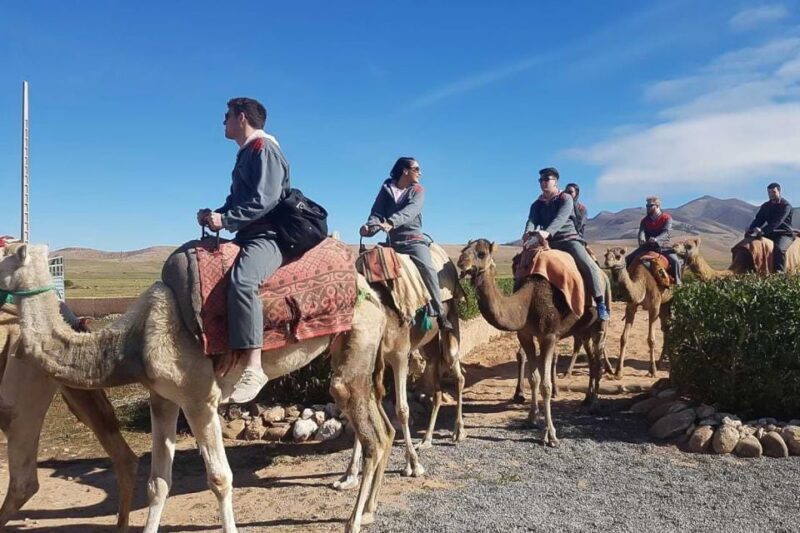Agafay Sahara Desert Camel Ride & Quad Bike - Authenticity and Practical Tips