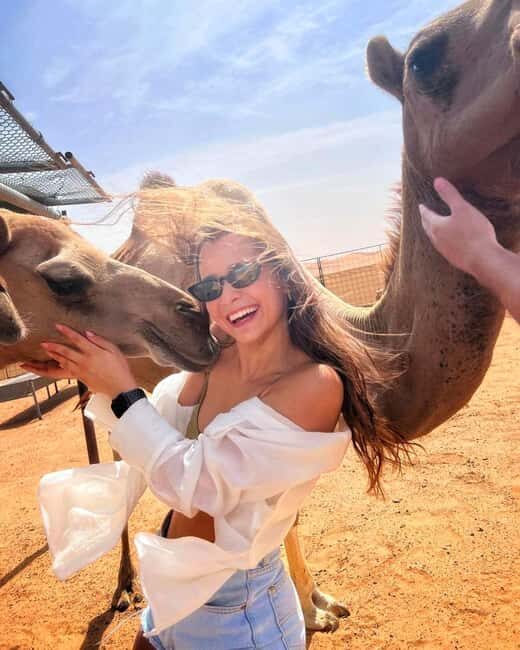 Agafay Tour: Sunset, Dinner, Camel ride, Quad and fire show - Key Points