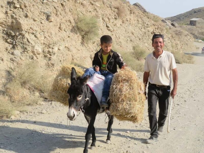 Agalyk Horseback Ride from Samarkand with Local Instructors - An Authentic Ride through Uzbek Nature