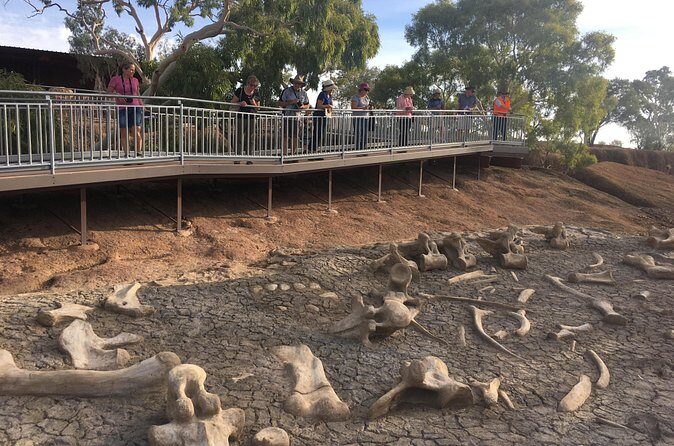 Age of Dinosaurs Museum Half Day Guided Transfer from Winton - Who Should Book This Tour?