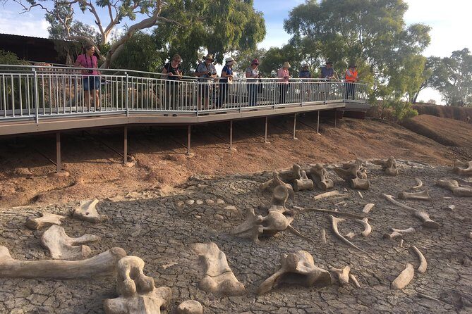 Age of Dinosaurs Museum Half Day Tour with Red Dirt Tours - FAQ