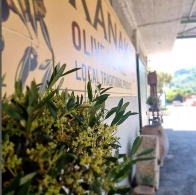 Agia Marina - Chania - visit to an oil mill and organic winery - Setting the Scene: What to Expect from the Tour