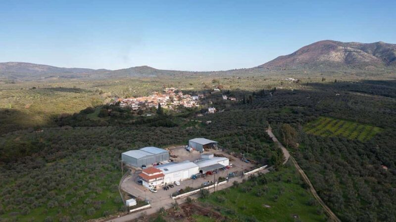 Agia Marina - Chania - visit to an oil mill and organic winery - The Sum Up