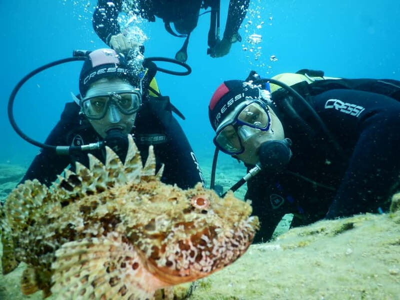 Agia Pelagia: Introduction to Scuba Diving (2 Dives) - Introduction to Scuba Diving in Agia Pelagia: What You Can Expect