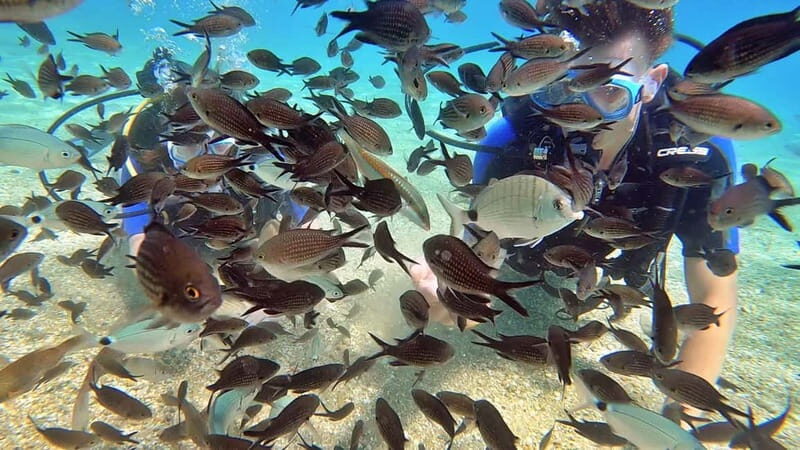 Agia Pelagia: PADI Open Water Diver International Course - What to Expect from the Course