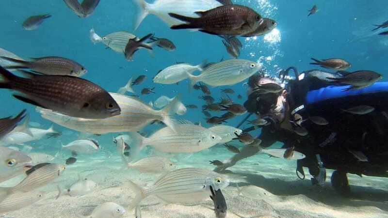 Agia Pelagia: PADI Open Water Diver International Course - FAQs