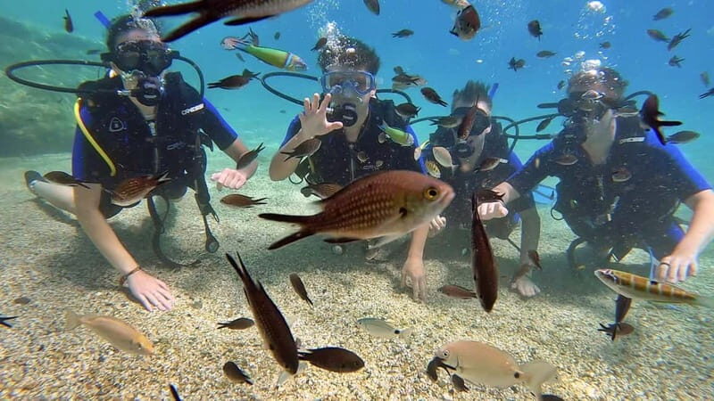 Agia Pelagia: PADI Open Water Diver International Course - Who Will Love This Course?