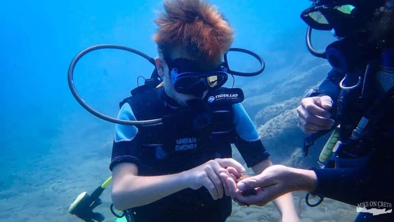 Agia Pelagia: Scuba Diving Activity for Children - Introduction to the Experience