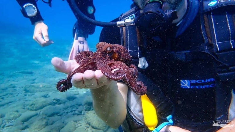Agia Pelagia: Scuba Diving Activity for Children - The Itinerary in Detail