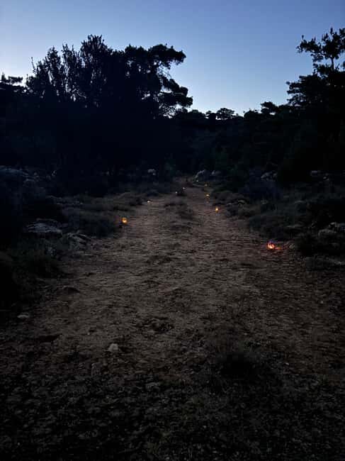 Agios Nikolaos: Evening Forest Yoga and Hiking Experience - An Authentic Evening in Crete’s Pines