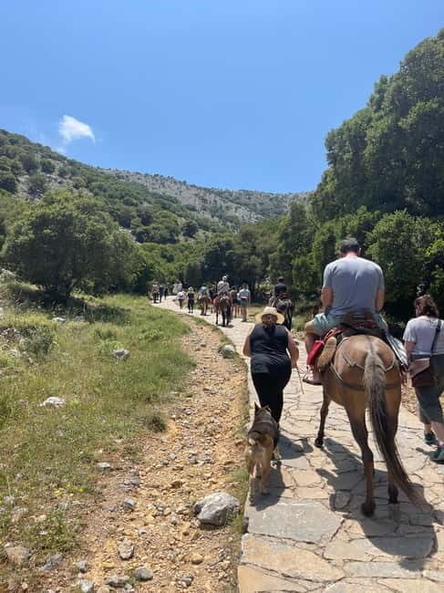 Agios Nikolaos: Lasithi Plateau Day Trip - The Sum Up