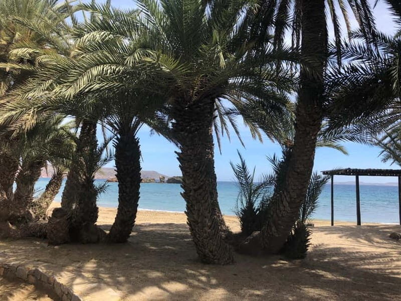 Agios Nikolaos: Vai Palm Beach, Toplu Monastery, East Coast - Practical Details