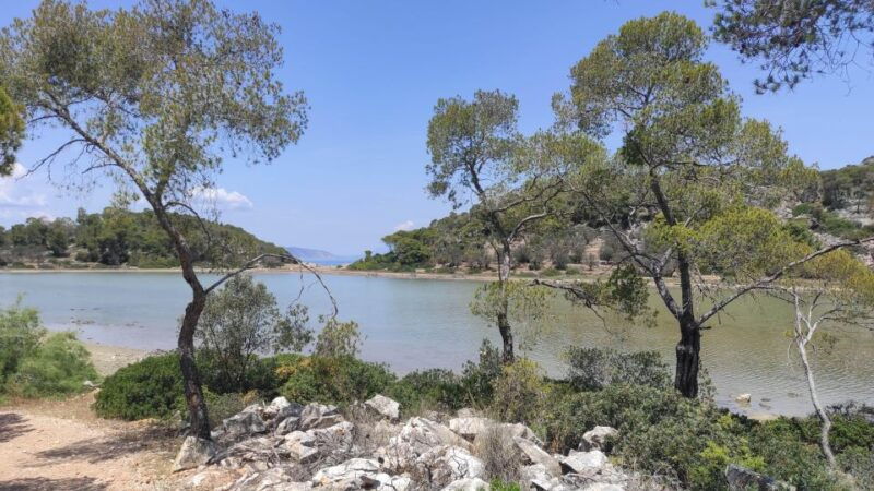 agistri-island-private-highlights-tour