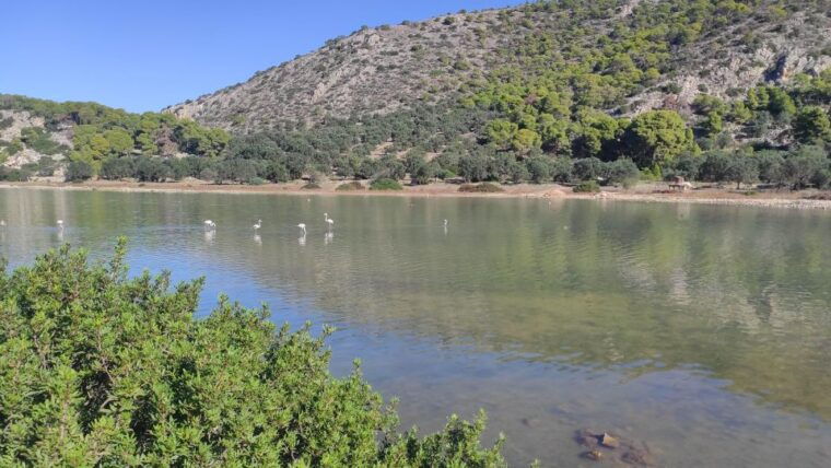 agistri-the-ultimate-experience-on-aponissos-island