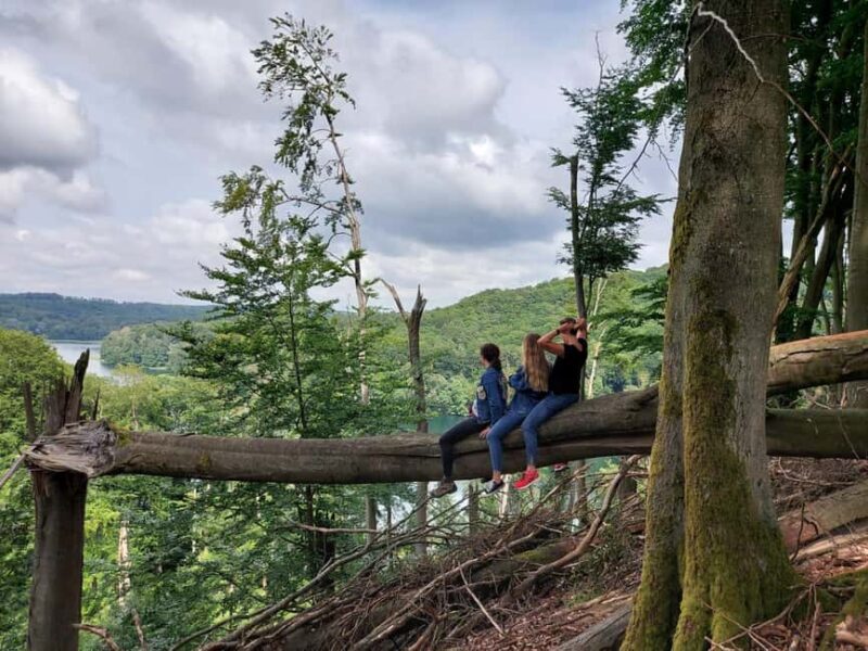 agów: Horseback Riding in agów Landscape Park - An In-Depth Look at the agów Horseback Riding Tour