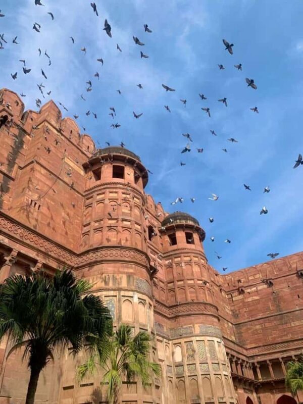 Agra Fort: A Guided Walking Tour of UNESCO World Heritage - Who Should Book This Tour?
