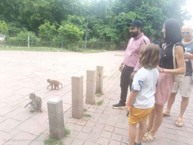 Agra: Monkey Safari Guided Walking Tour - Final Thoughts