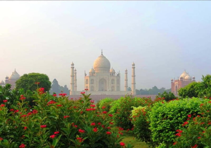 Agra: Private Tour Guide in Agra - 8 Hours - Why the Guide Matters