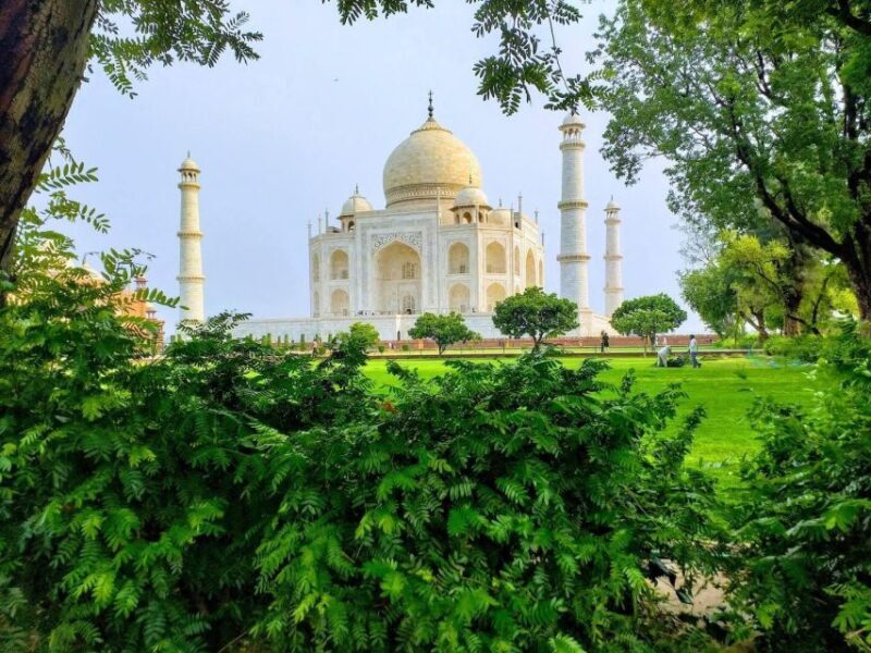 Agra: Skip-The-Line Taj Mahal & Agra Fort Tour By Car - Who Is This Tour Best For?