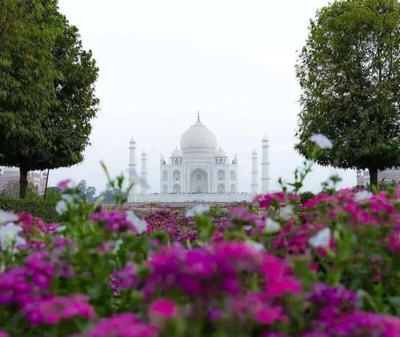 Agra: Skip-the-Line Taj Mahal & Mausoleum Guided Tour - The Sum Up