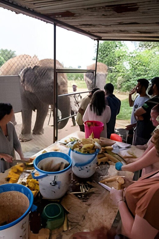 Agra: Taj Mahal, Agra & Elephant SOS Full or Half Day Tour - What to Expect from the Agra Tour