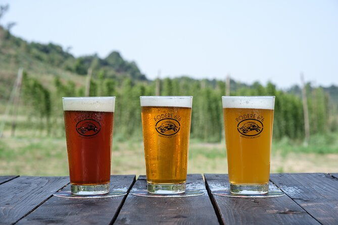 agricultural-brewery-tour-in-the-roman-countryside-2