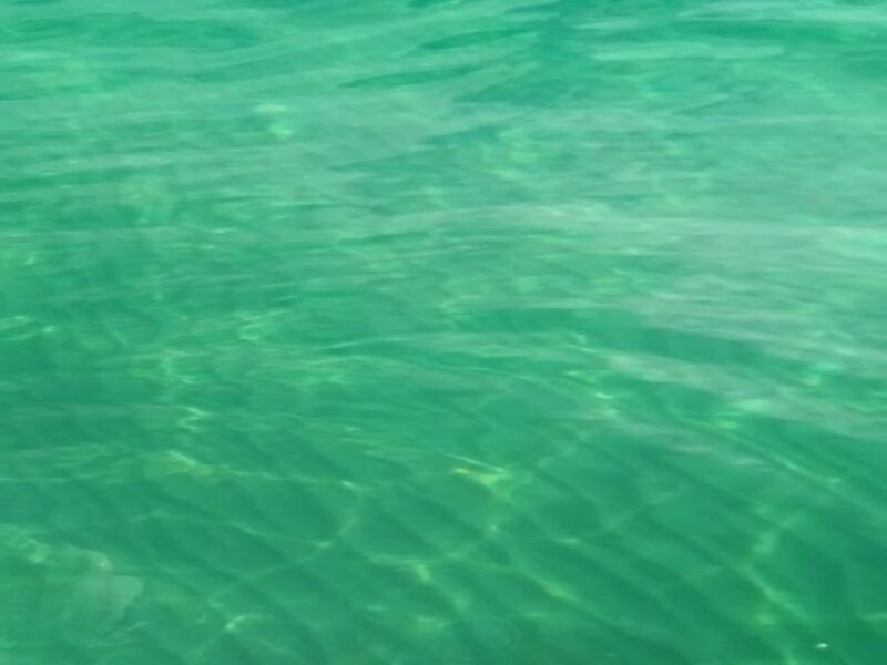 agrigento-stair-of-the-turks-cliffs-boat-tour-swim-stops