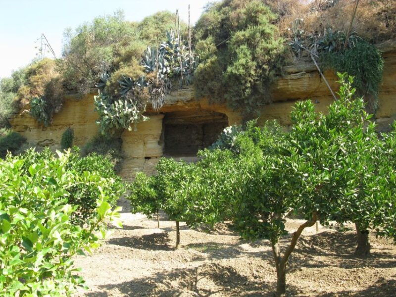 agrigento-valley-of-the-temples-and-kolymbethra-private-tour