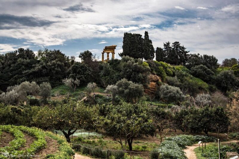 agrigento-valley-of-the-temples-and-kolymbethra-private-tour
