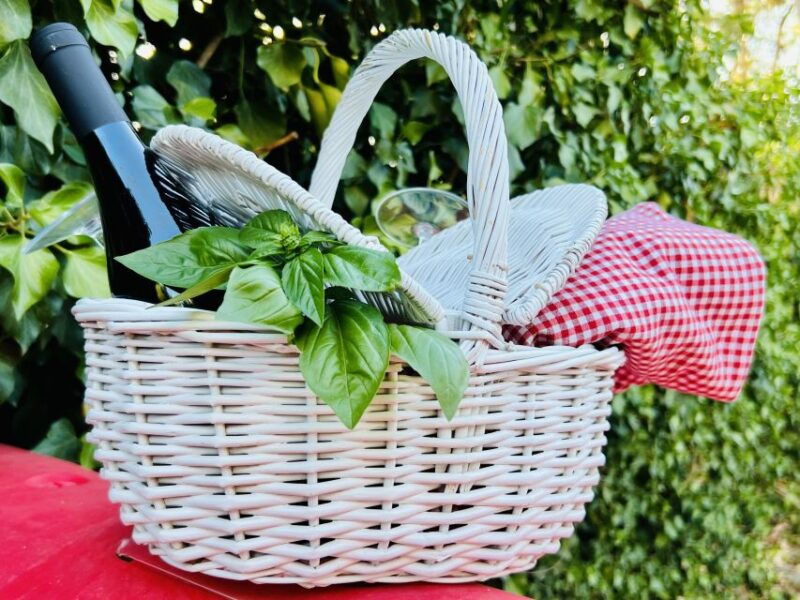agrigento-valley-of-the-temples-gardens-picnic-experience