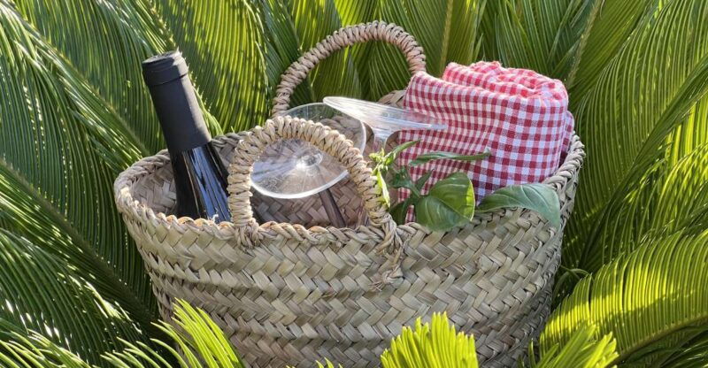 agrigento-valley-of-the-temples-gardens-picnic-experience