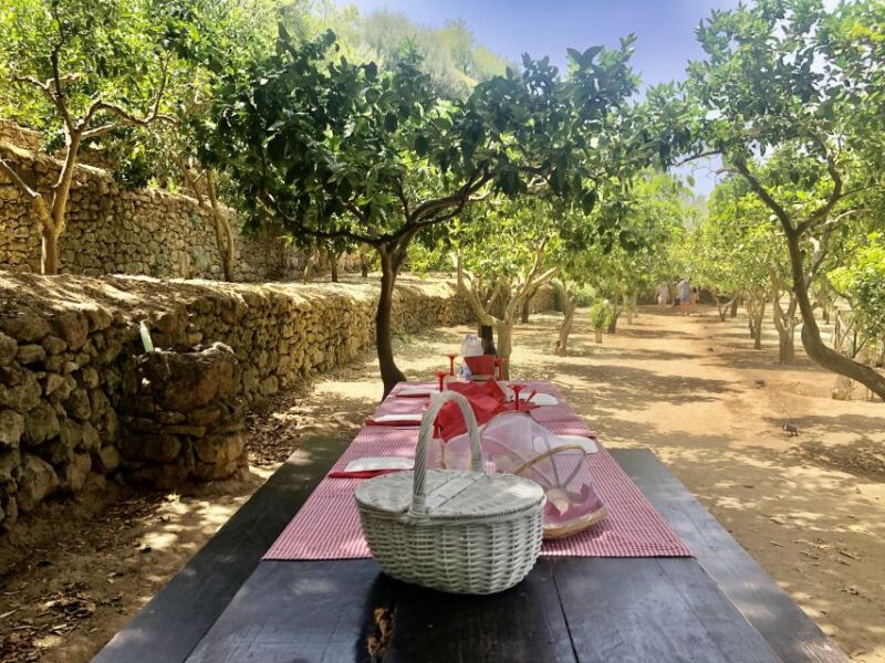 agrigento-valley-of-the-temples-gardens-picnic-experience