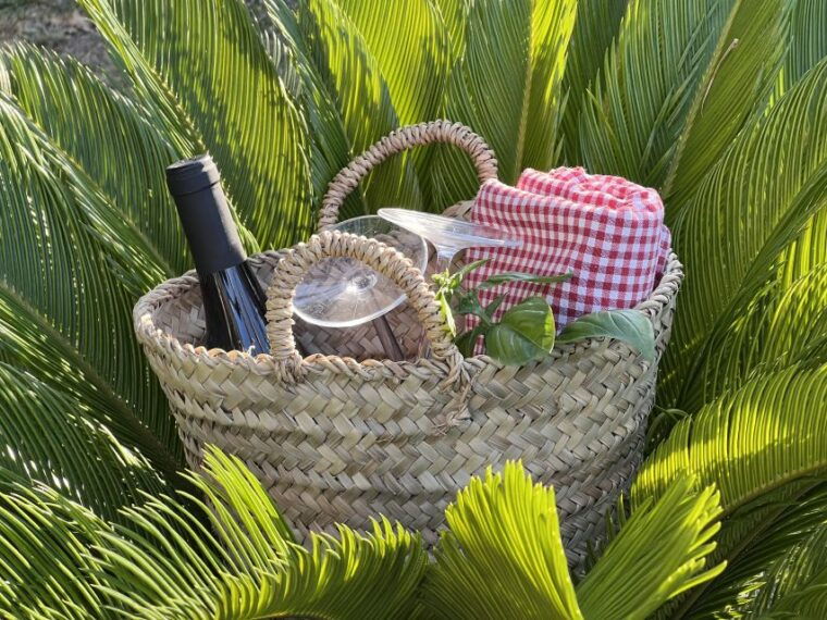 agrigento-valley-of-the-temples-gardens-picnic-experience