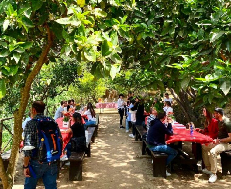 agrigento-valley-of-the-temples-gardens-picnic-experience