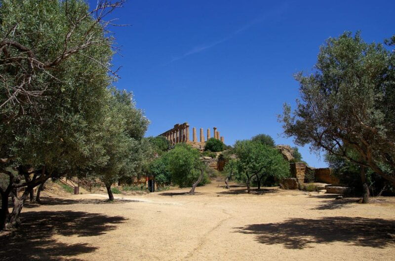 agrigento-valley-of-the-temples-private-archeological-tour