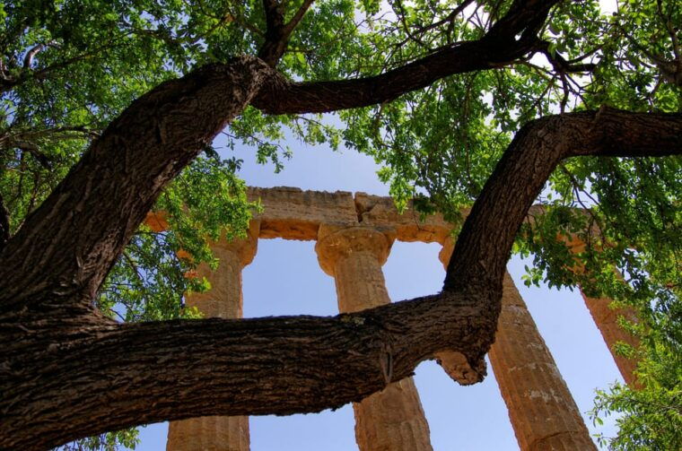 agrigento-valley-of-the-temples-private-archeological-tour