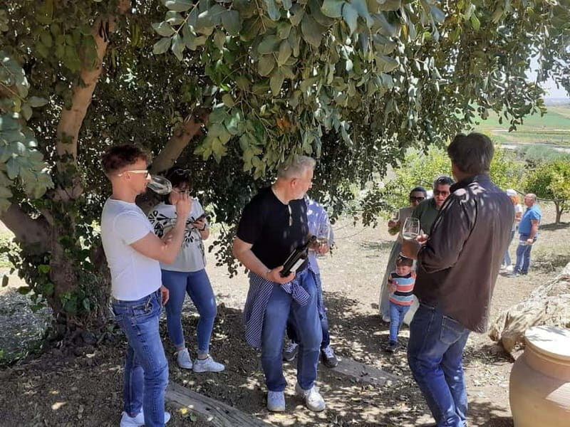 Agrigento: Vineyards and Wine Tasting Experience - An Authentic Taste of Sicily: What the Tour Offers