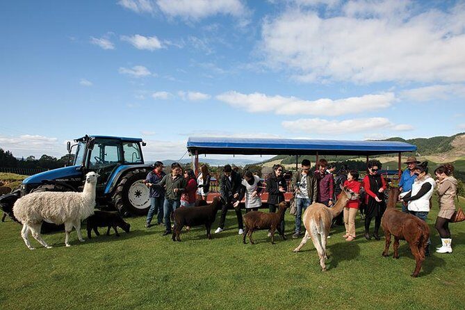 Agrodome Farm Experience including Farm Show and Farm Tour - Rotorua - Practical Details and Logistics