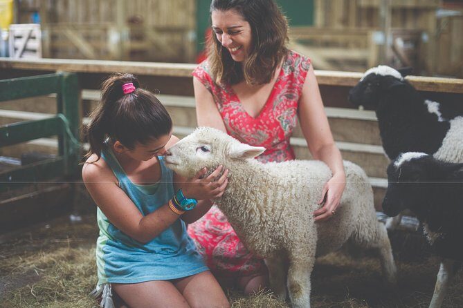 Agrodome Farm Experience including Farm Show and Farm Tour - Rotorua - What Makes It Stand Out?