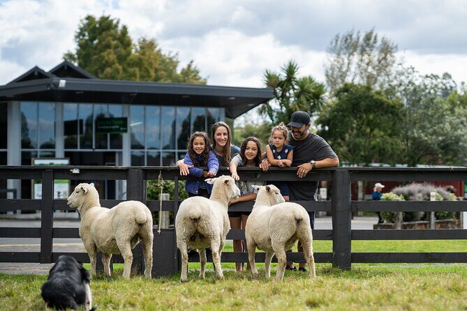 Agrodome Farm Experience including Farm Show and Farm Tour - Rotorua - Potential Drawbacks